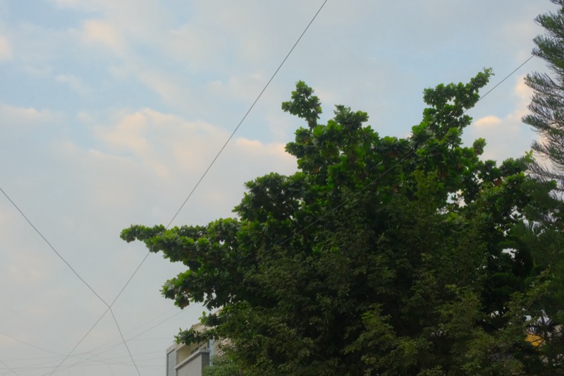 Architecture - Building Details